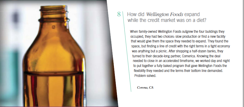 WFI-Ad-in-Comerica-2010-Annual-Report